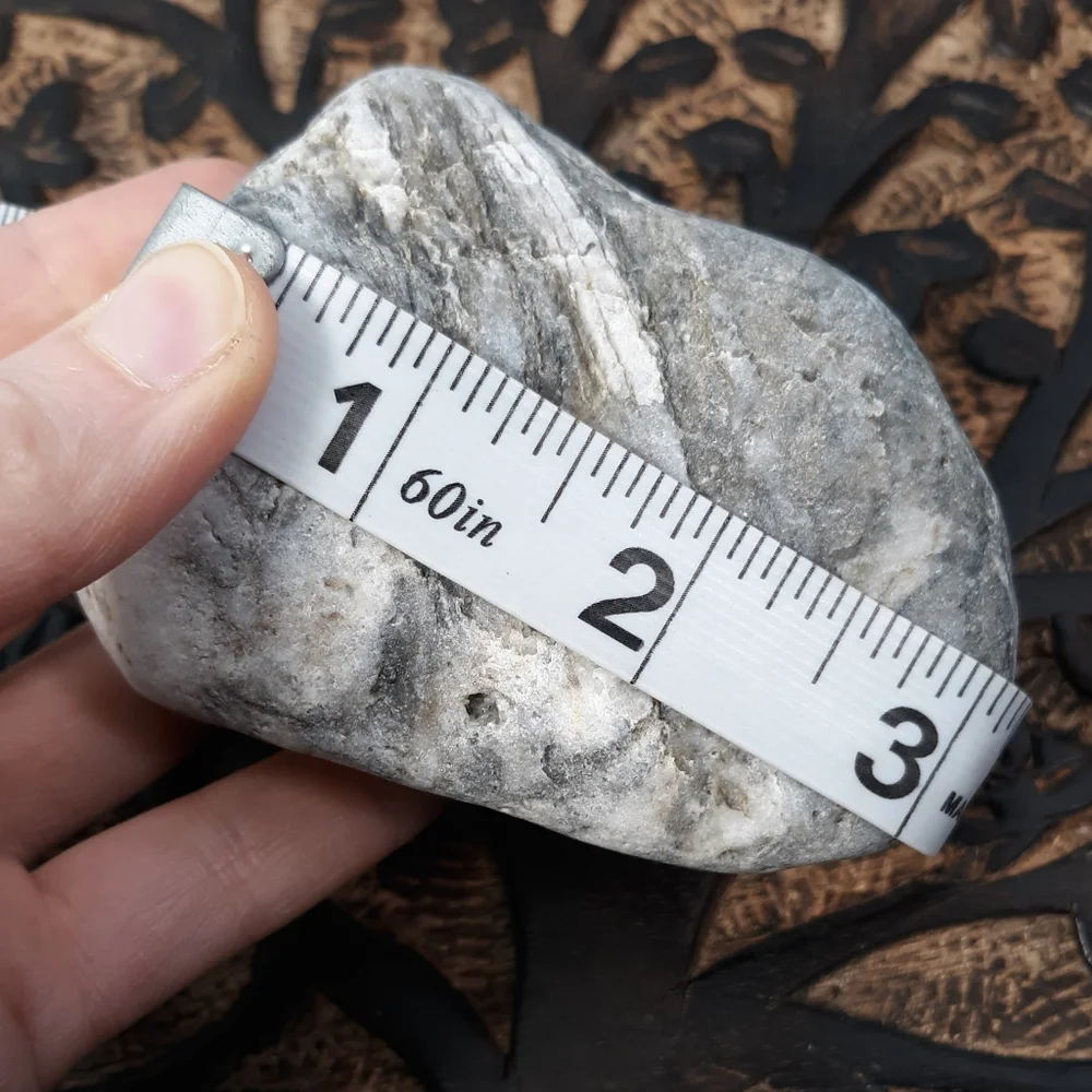 Maine Mottled Stone East Coast Lucky Beach Rock Raw Mineral Specimen Gray White